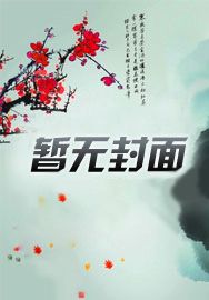 龙羽战记